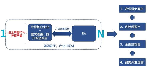 1 n平台助力柠檬产业焕发 鲜 机