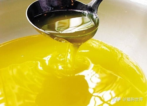 国内质量好的宠物食品加工oem代工源头厂家